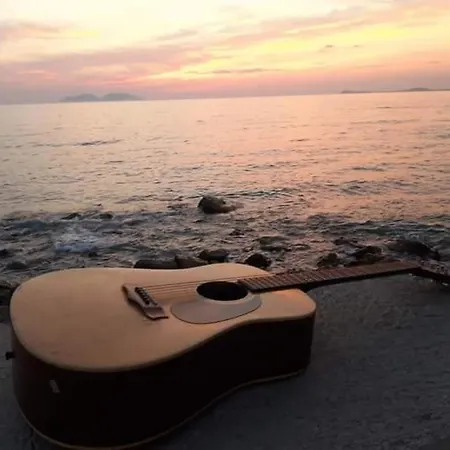 Artist S * Vlore