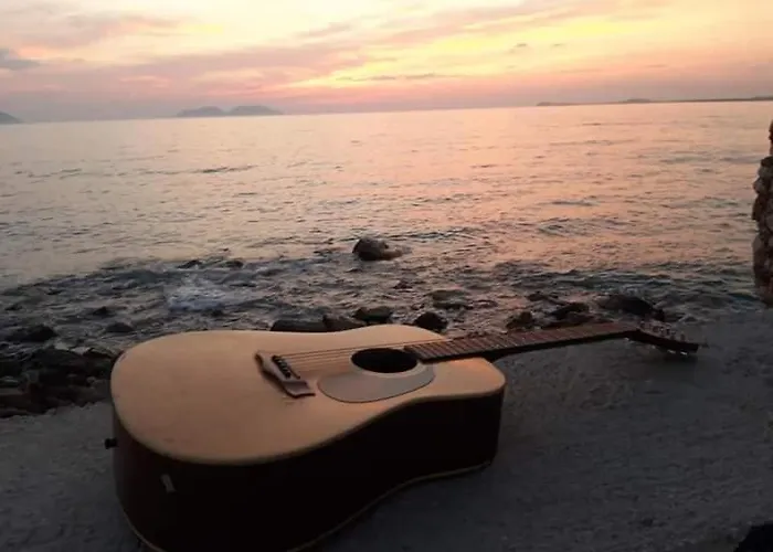 Artist S * Vlore